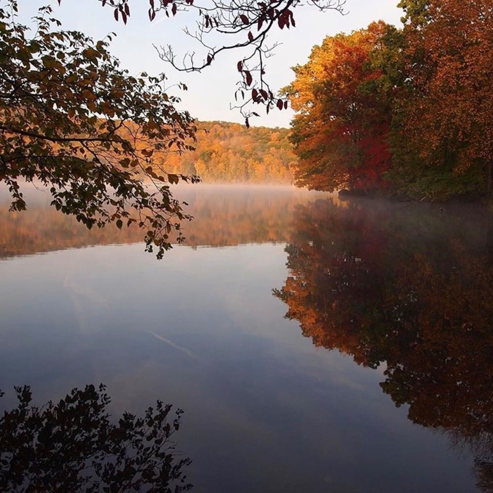 Meet your Posher, Monique